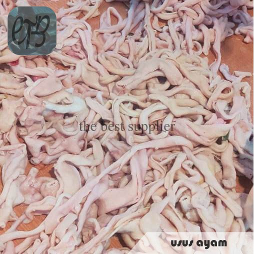 

Usus Ayam Segar