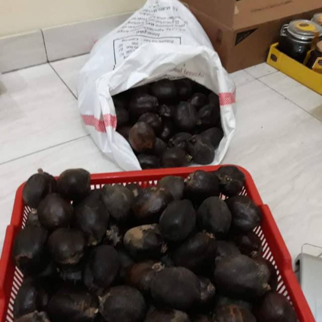 

1 kg buah Zuriat Madinah fress