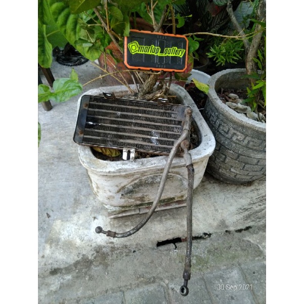 oil cooler mocin viar minerva