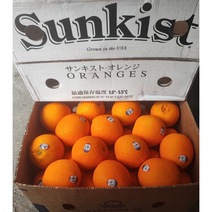 

SUNKIST Jeruk Navel Oranges California USA JUMBO Oranges 550 - 650 gr