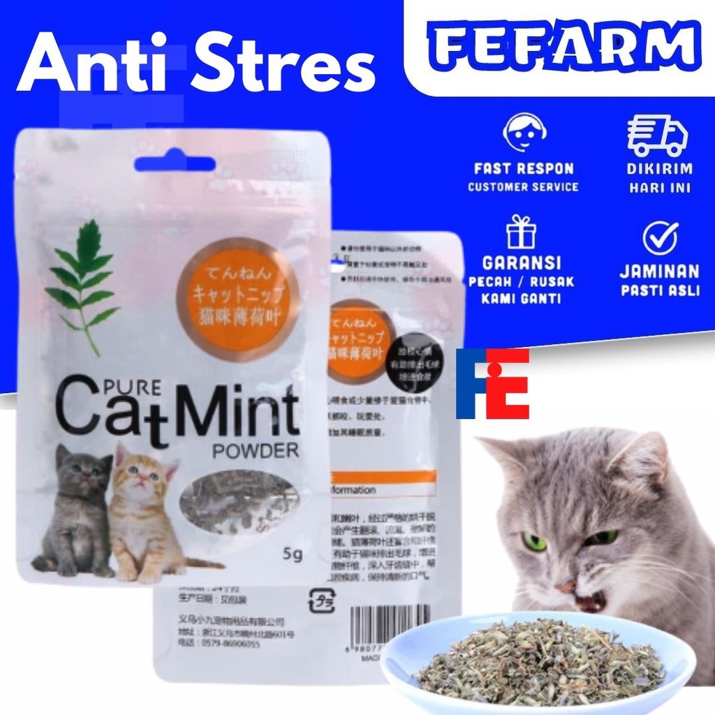 Catnip Camilan Kucing  Catmint Menthol Snack Makanan Cat Kitten FEFARM