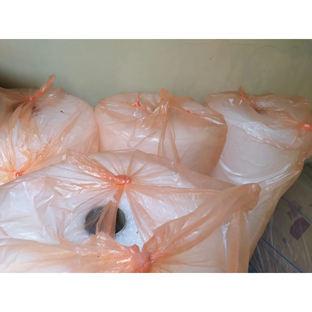 Bubble Wrap Tambahan Packing