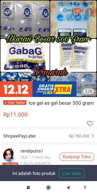 Ice Gel Es Gel Besar 500 Gram