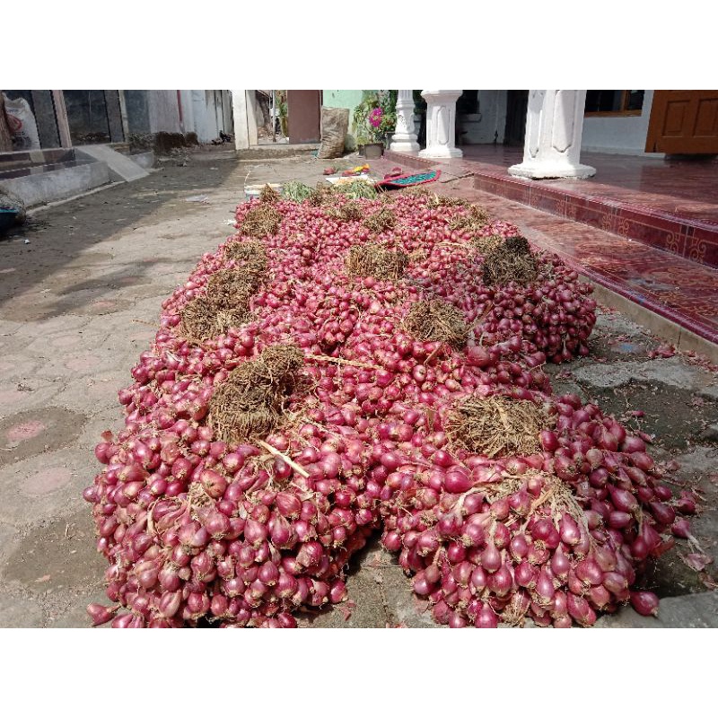 

BAWANG MERAH