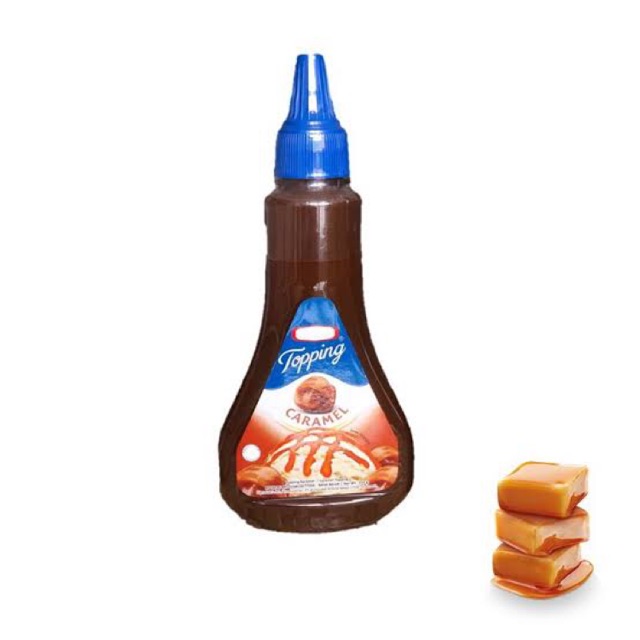 

MORIN TOPING CARAMEL 310G