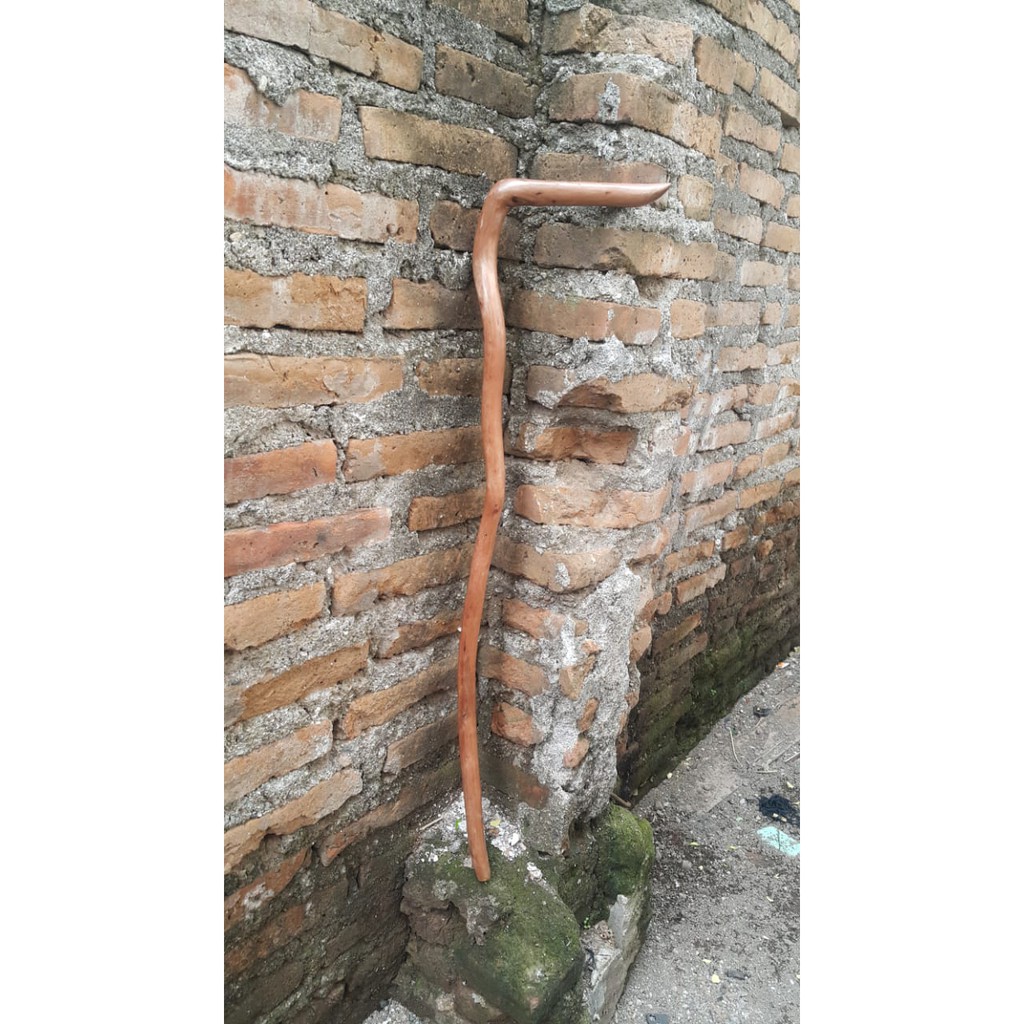 TONGKAT JALAN KAYU BERTUAH SETIGI ORIGINAL UKIR / tongkat jalan kayu setigi ukir naga jawa / TONGKAT