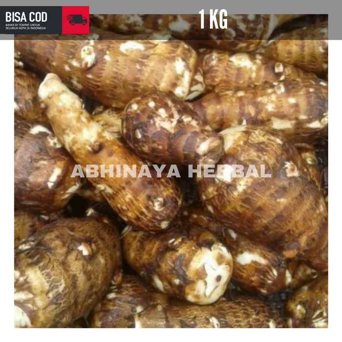 

Umbi talas pulen segar / umbi talas 1kg
