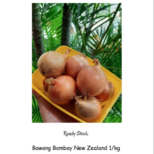 

NEW!!!! Bawang Bombay New Zealand