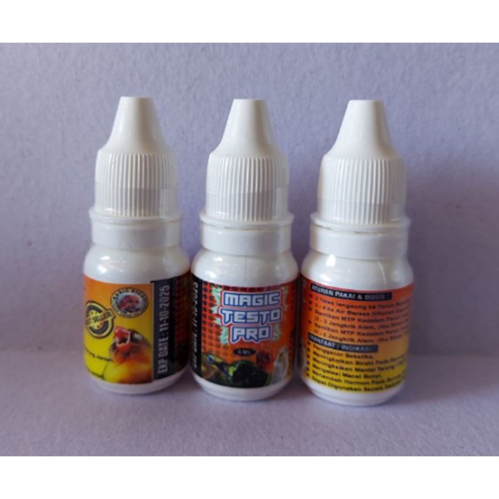 magic testo pro mtp suplemen vitamin burung penggacor seketika