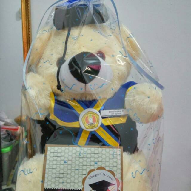 Boneka Wisuda Teddy Bear Big + Ecer Grosir