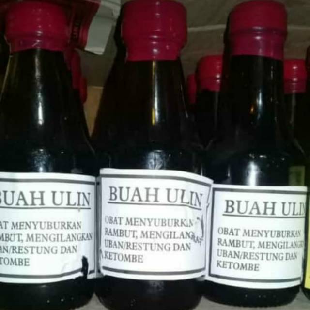 Buah ulin
