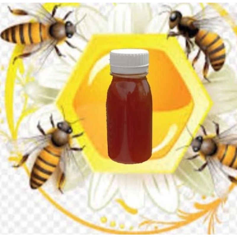 

Madu Trigona Teweul Klanceng 100 gr