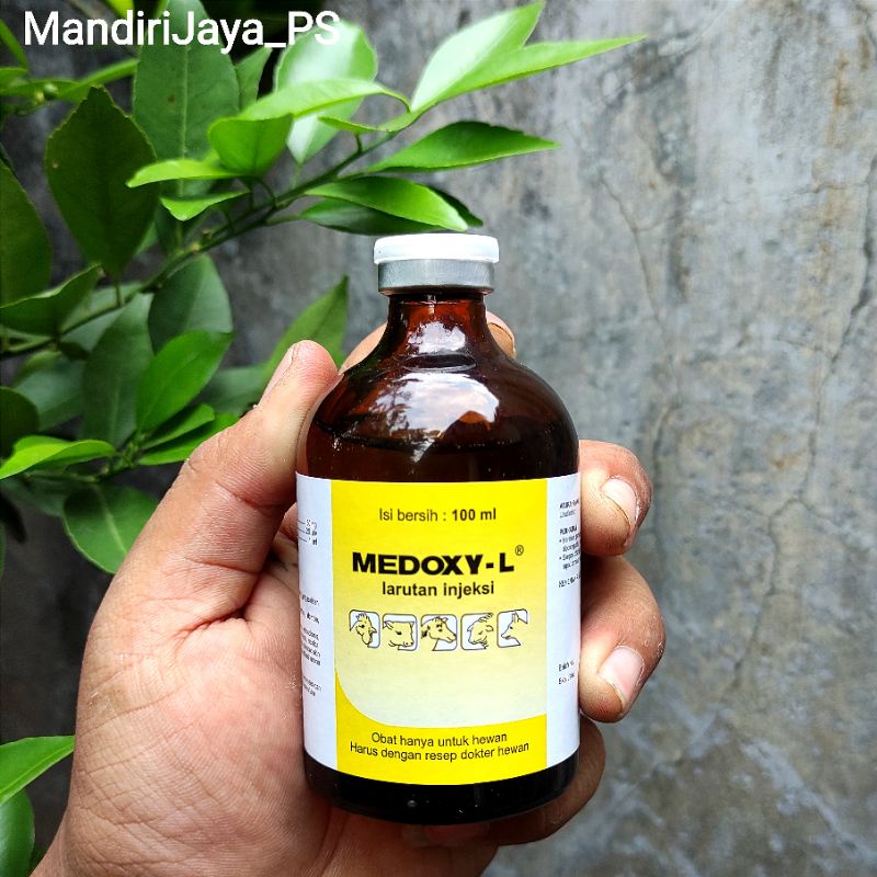 Medoxy L Inject 100ml Obat Injeksi Untuk Ayam Kucing Sapi Domba Kuda Sakit Snot Ngorok CRD Berak Hij