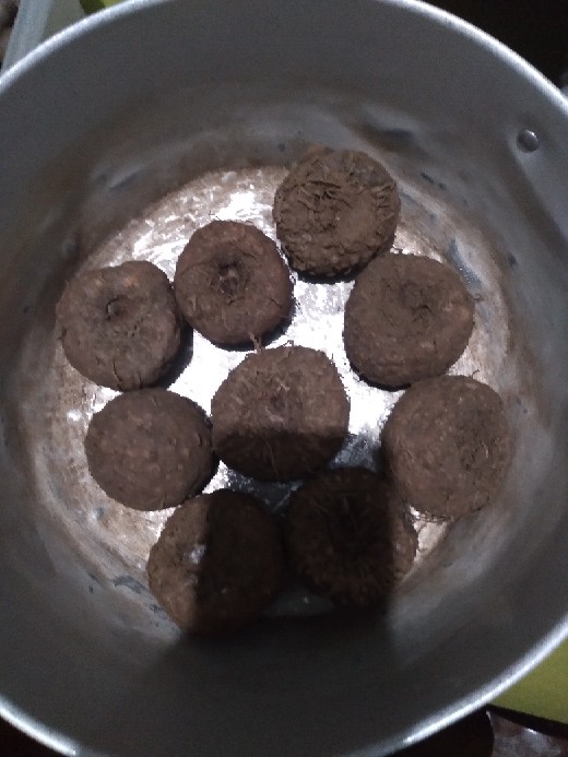 Bibit Umbi Porang 1kg Isi 4-5 Biji