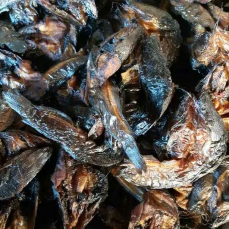 

IKAN SALEH+ MIE LIDI