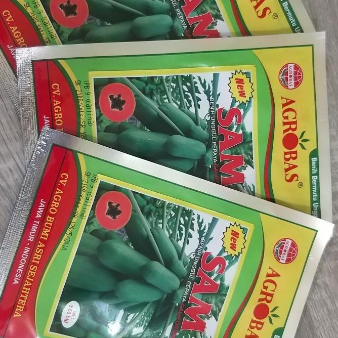 {{{{}}] Bibit Pepaya California Agrobas SAM