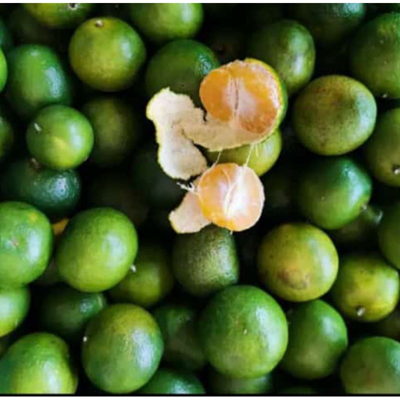 

Jeruk Shantang Madu / Shantang Madu Manis