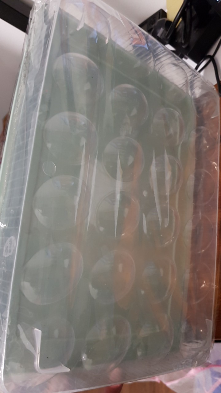 Kotak Telur / Tempat Telur / Box Telur / Rak Telor / Tempat Telor Ayam [ Isi 24 Pcs]