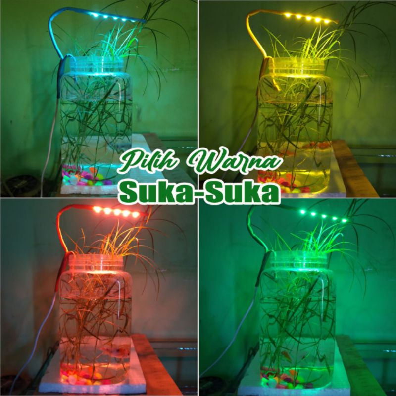 Lampu LED Aquarium Ikan Hias Ikan Cupang 5 mata led(lampu cupang)