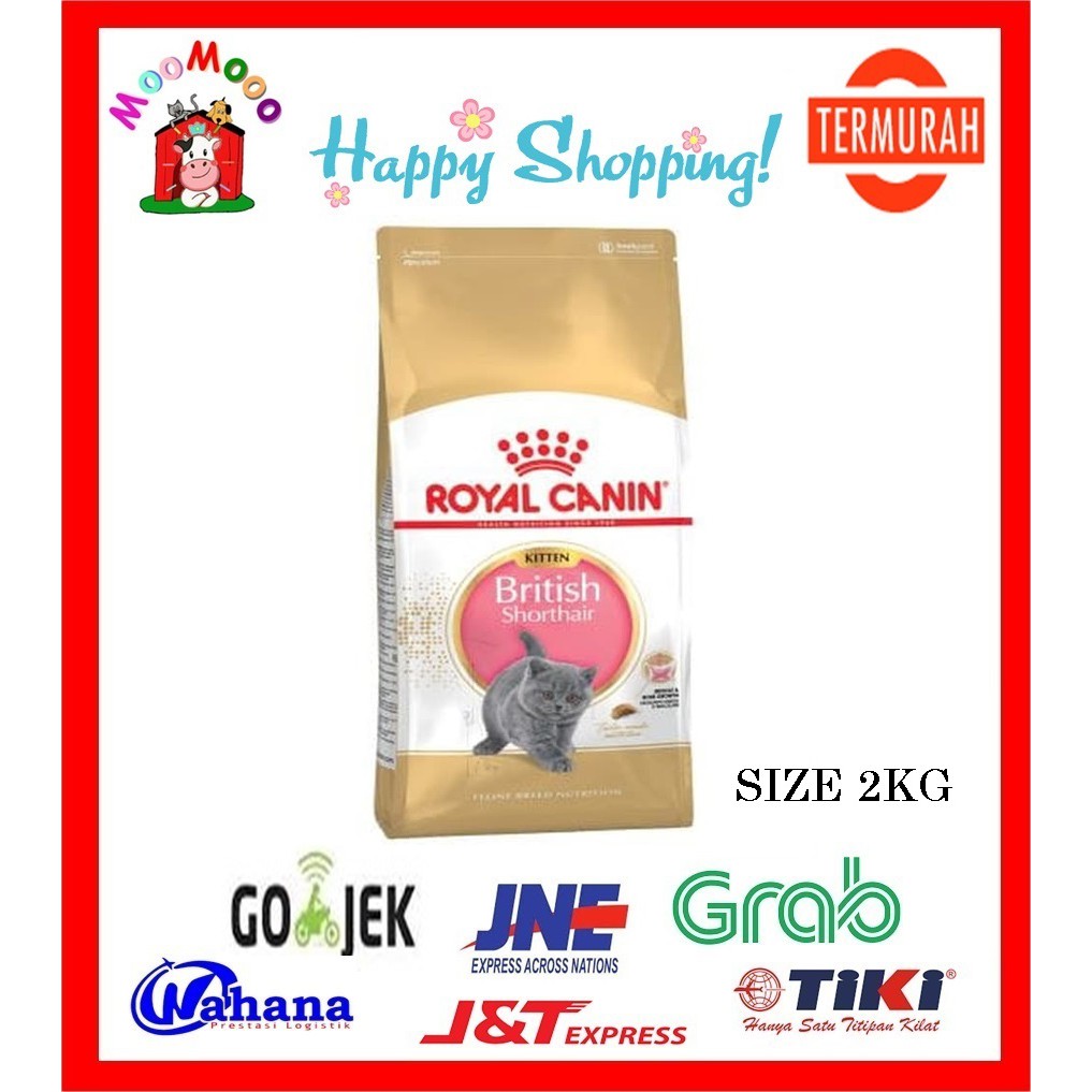 Royal Canin Kitten British Shorthair 2 Kg - Makanan Kucing