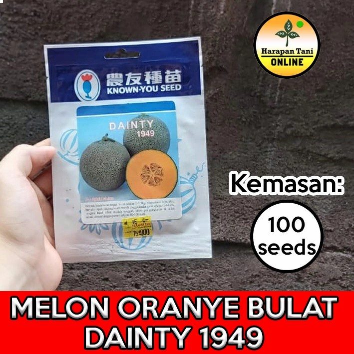 Dainty 1949 100 seeds | Melon Oranye Bulat | Known You Seed