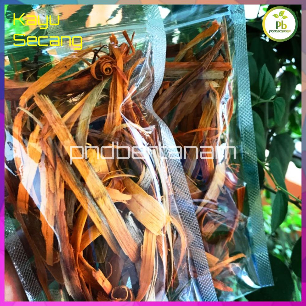 

KAYU SECANG ASLI ISI 50 GRAM KUALITAS PREMIUM BUMBU DAPUR JSR REMPAH SAPPAN