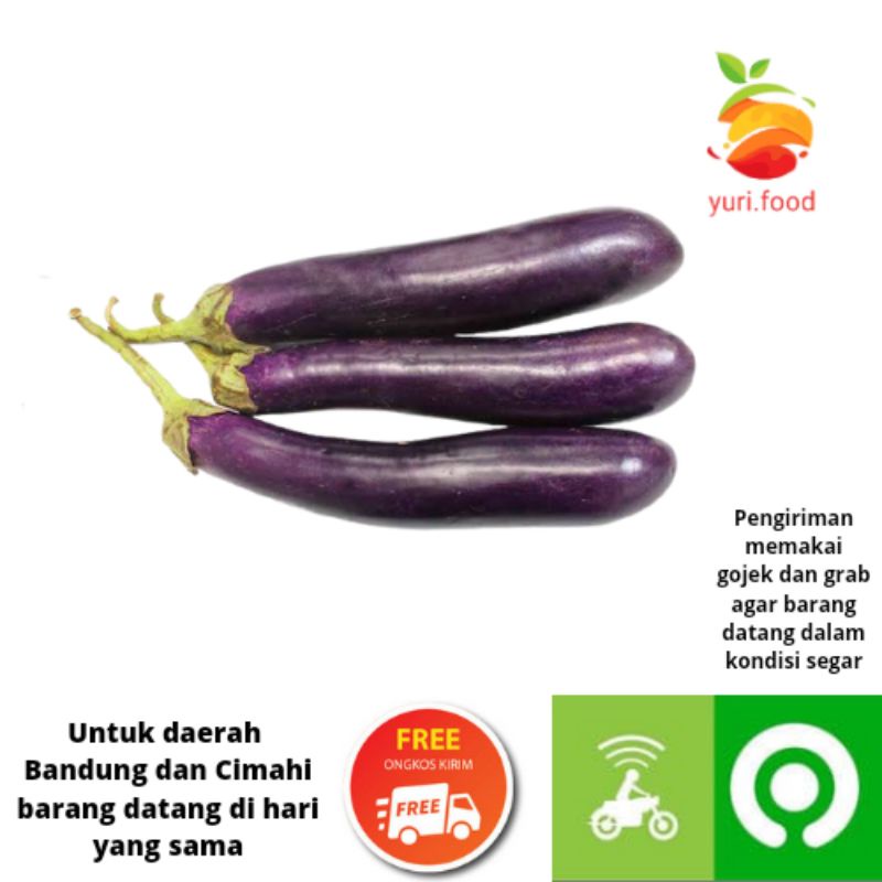 

Terong ungu 500gram (Cimahi satu hari sampai)