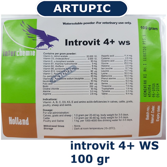 introvit 4+ WS 100 gr mempercepat pertumbuhan penambah berat badan meningkatkan produksi telur daya tahan tubuh mengatasi stres stamina kualitas daging telur susu pindah kandang stres cuaca Sapi Kambing Babi Ayam Domba