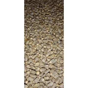Spora porang, Spora 1 kg, spora super, spora murah