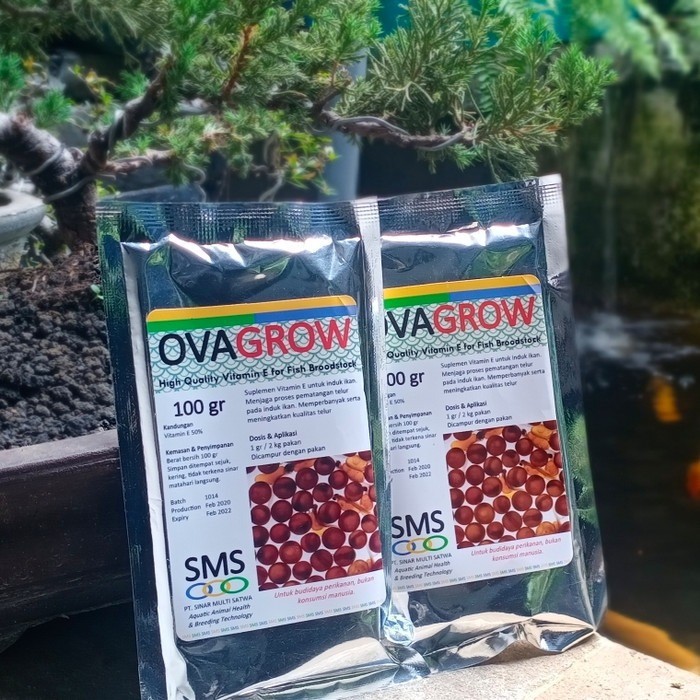 VITAMIN IKAN VITAMIN E BUAT INDUKAN IKAN PENYUBUR TELUR OVAGROW