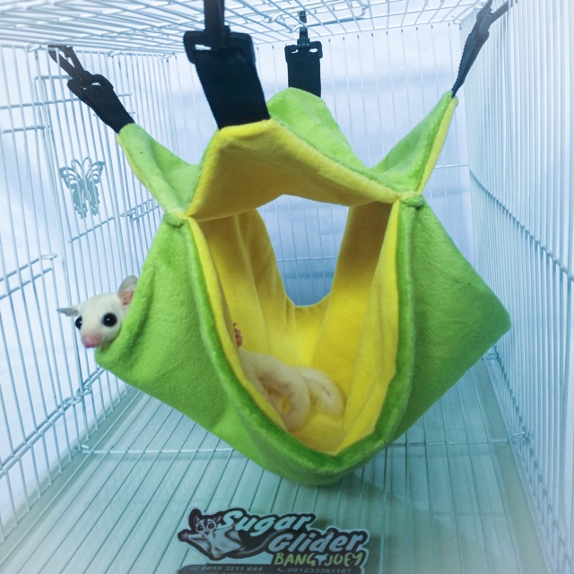 Pouch Hammock Tempat tidur sugar glider , landak mini hamster