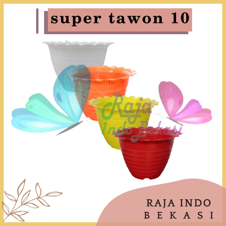 Pot Tawon Dahlia Super Tawon 10 Putih Kuning Orange Merah Pot Tawon Putih Murah Pot Kaktus Mini Lucu