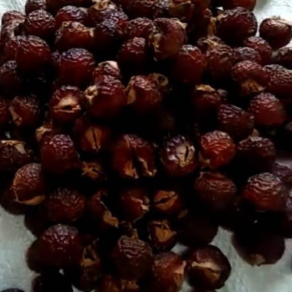 

Murah CLHYK Biji Lerak Daging Tanpa Biji 1kg 82 Ready