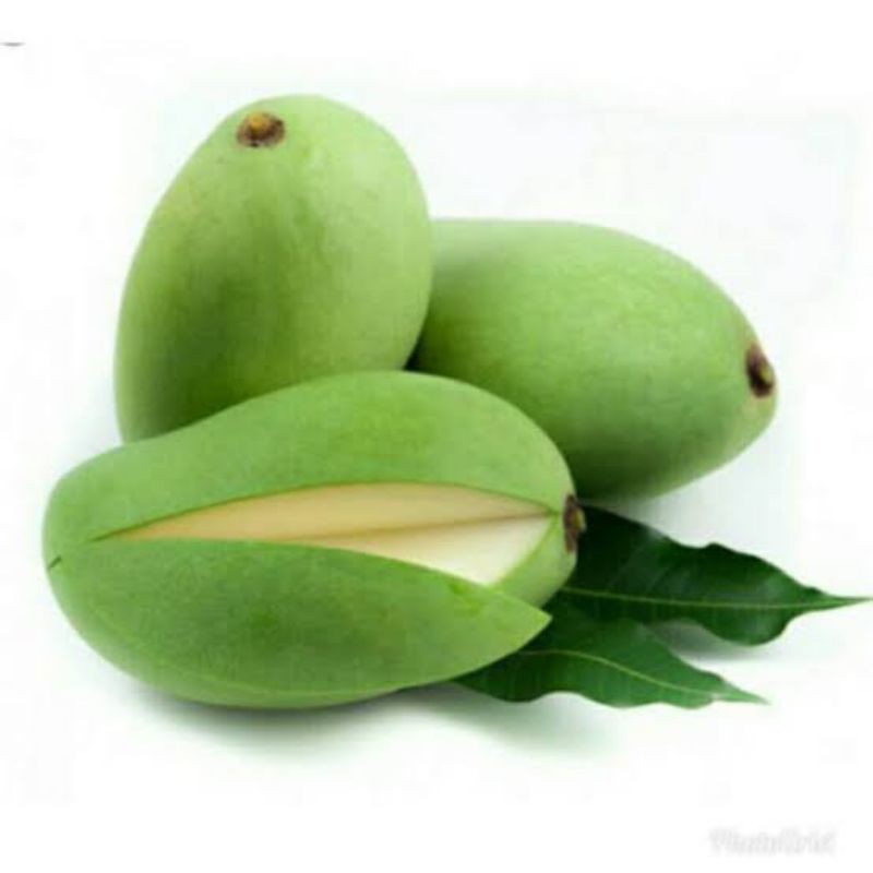 

buah mangga muda rujak asam/1kg