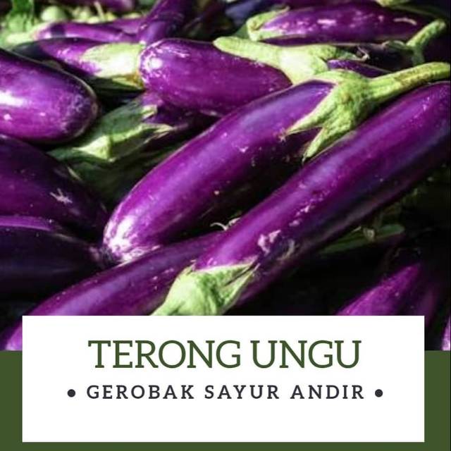 

Terong Ungu /500gr