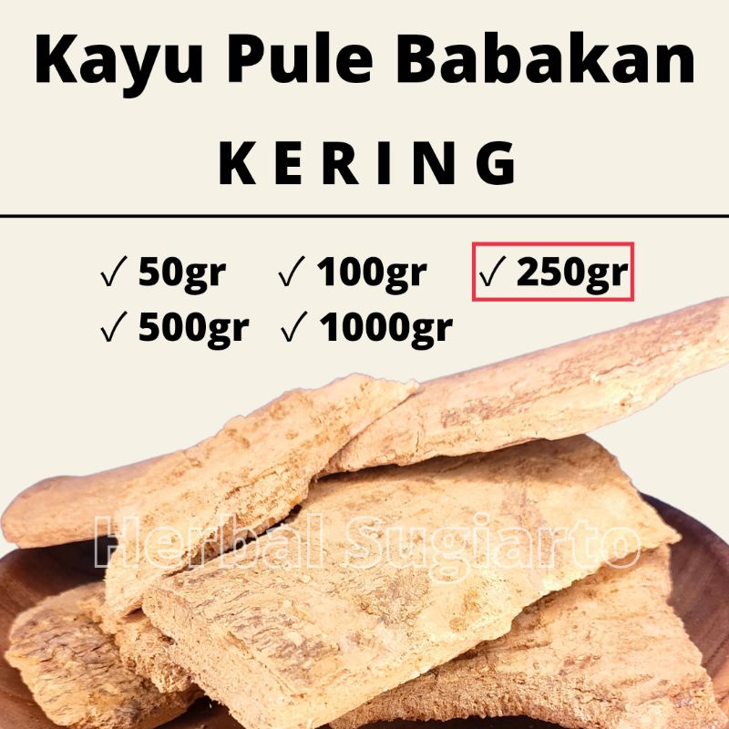 

GROSIR Kayu Pule / Babakan Pule 1kg 1000gr 500gr 250gr 100gr 50gr Kualitas BAGUS 250gr