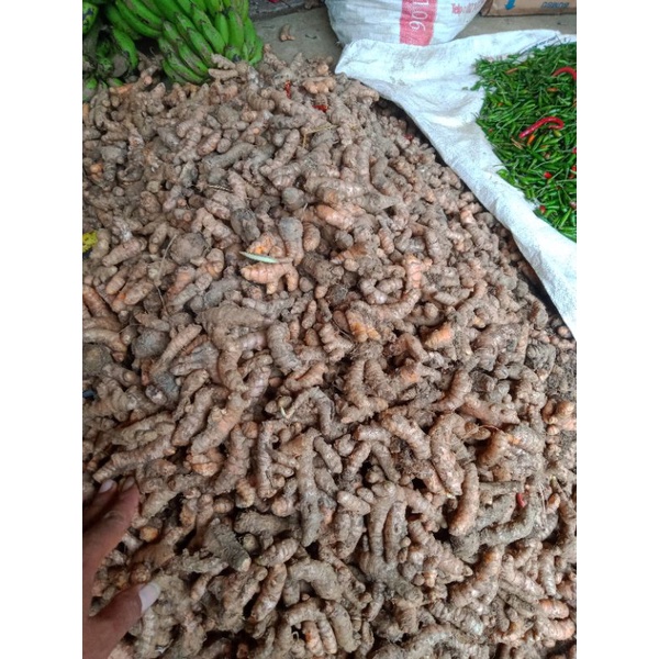 

jahe merah asli dari petani