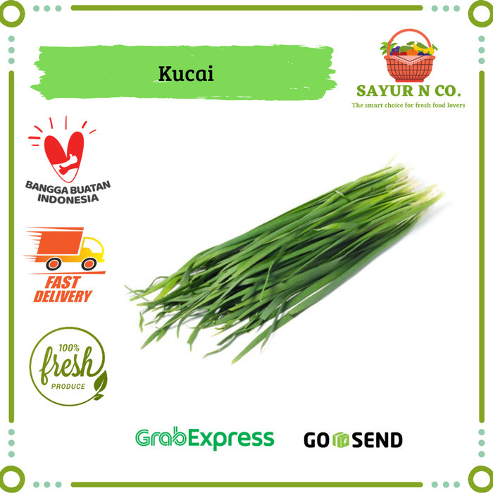 

Daun Kucai | Sayur N Co Bekasi