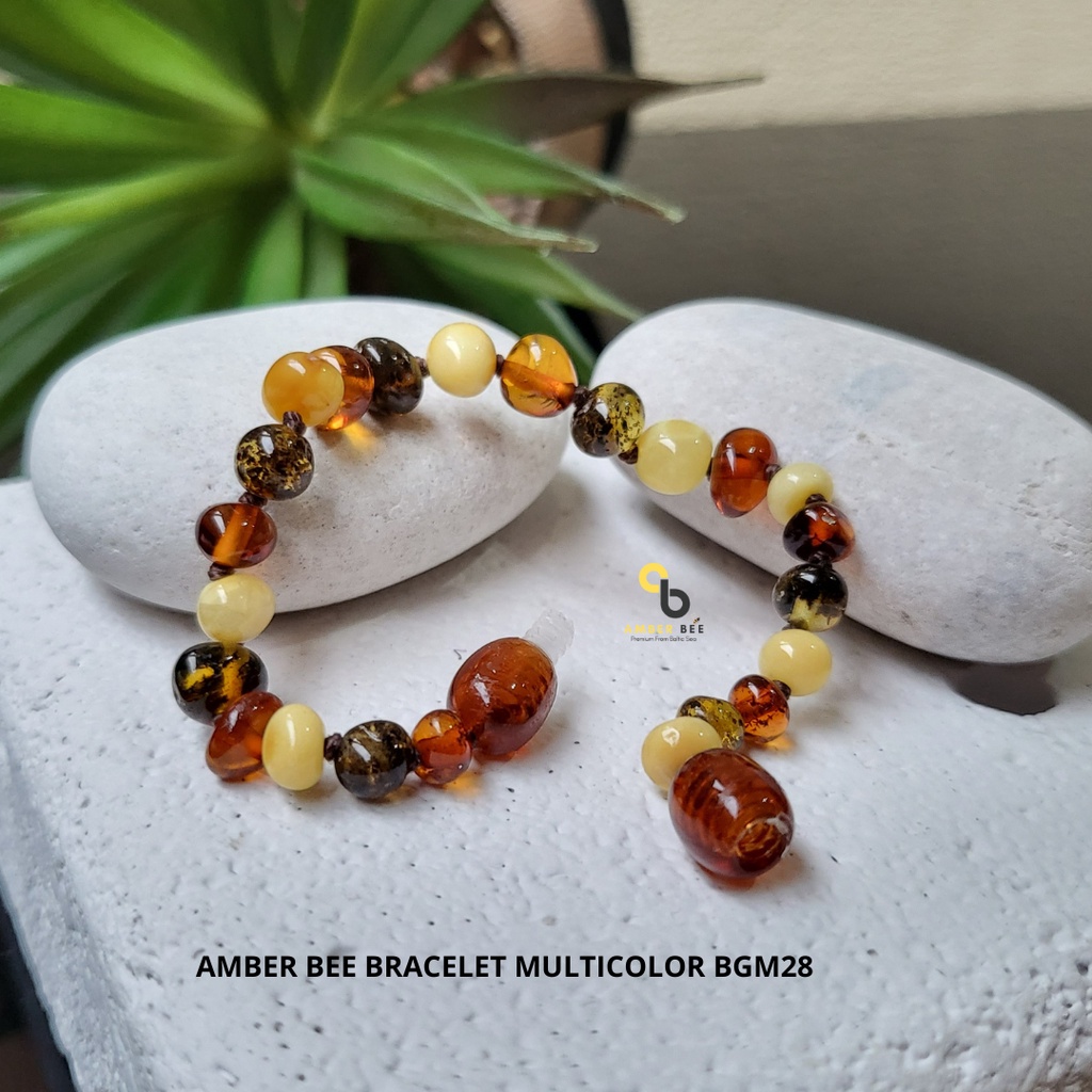 Gelang Amber Bayi Anak Premium Glossy Multicolor BGM028 By Amber Bee