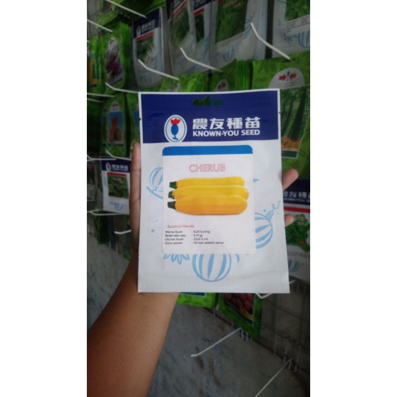 Benih Zucchini kuning CHERUB 5gr