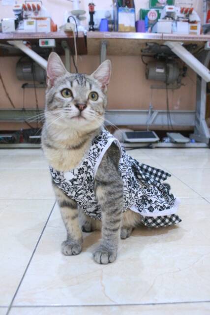 Dress batik hitam variasi kotak-kotak lucu untuk kucing dan anjing size S M L XL