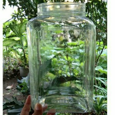 Toples Kotak 4 L tanpa tutup/ plastik Pet Bening /aquarium ikan cupang/bonsai kelapa hidroponik