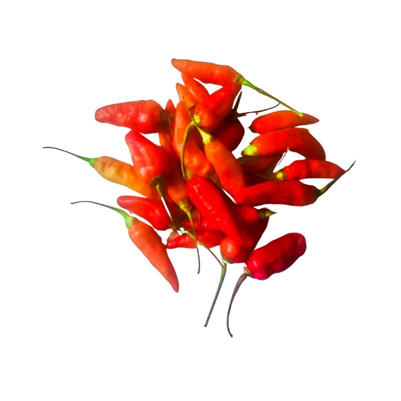 

Cabe Rawit Merah 500gr