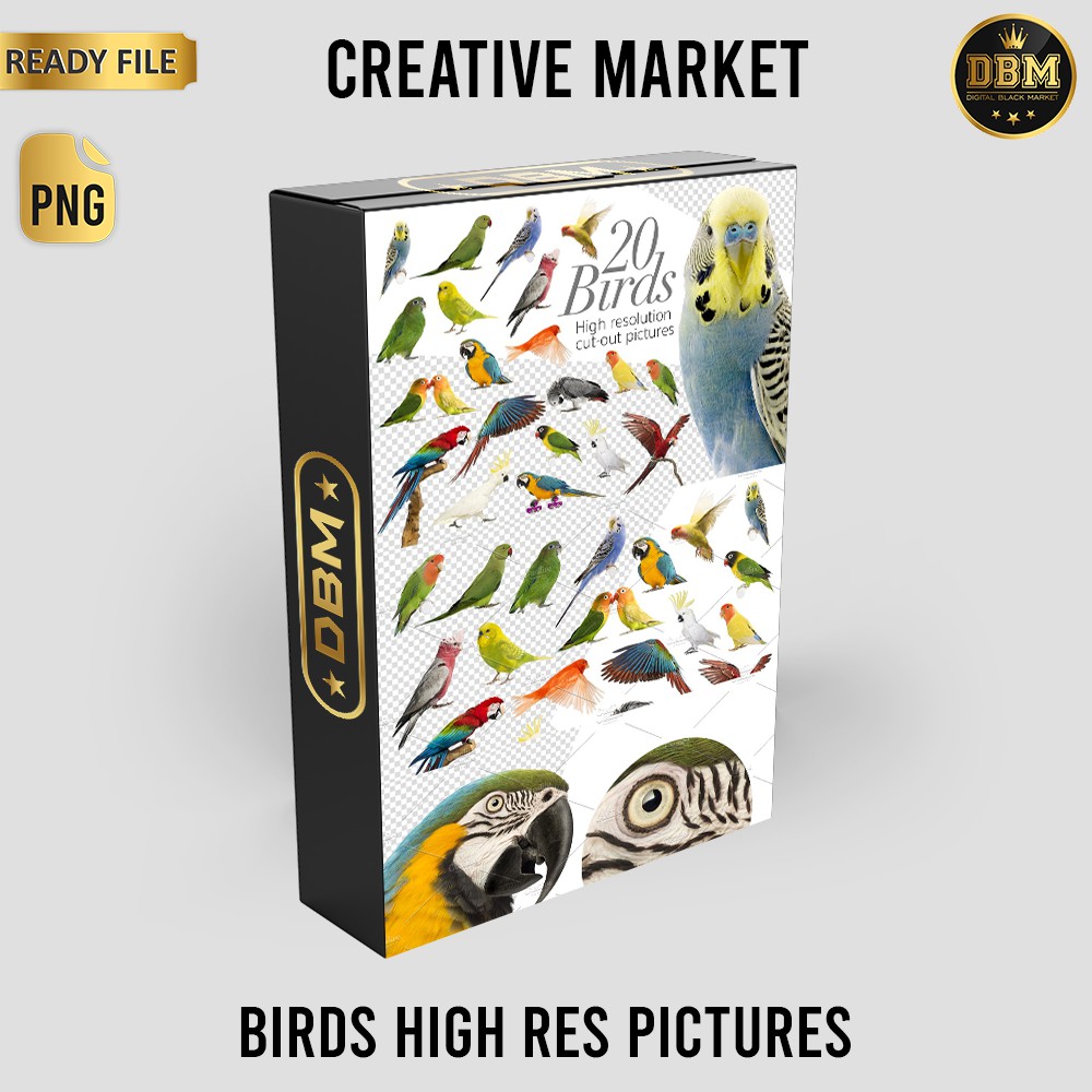 Birds High Res Pictures - JPEG Ultra HD