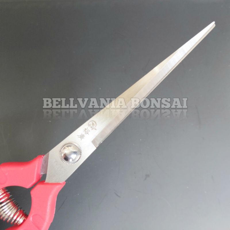 

Gunting Prunning Daun Panjang 24.2cm Dengan Mata Pisau 12.2cm RB9
