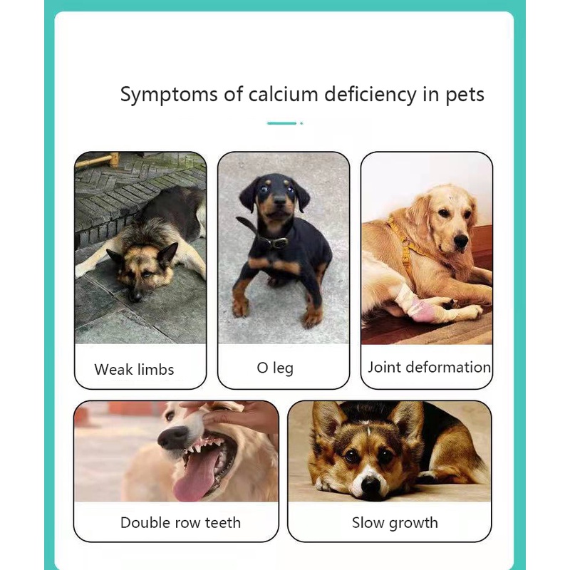 Hugopet Pet Vitamin Calcium For Kucing Anjing Mencegah Osteoporosis Digunakan Untuk Kucing Hamil Dan Suplemen Kalsium Anjing