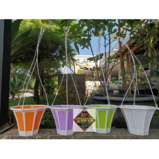 Pot bunga gantung lampion warna warni 20cm tatakan Pot bunga gantung lampion warna warni 20cm tatakan