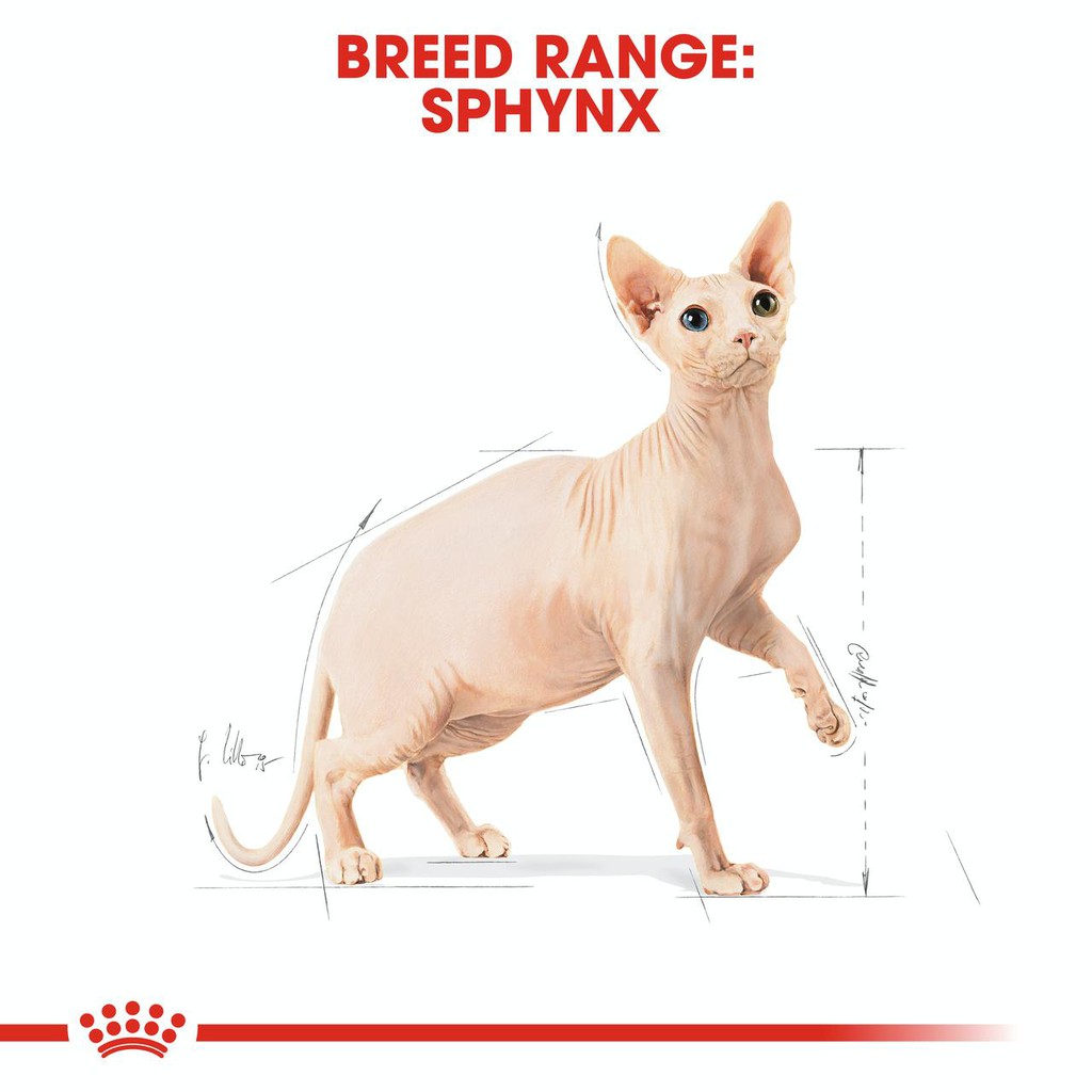 Royal Canin Sphynx 2kg Makanan Kucing Khusus Sphynx