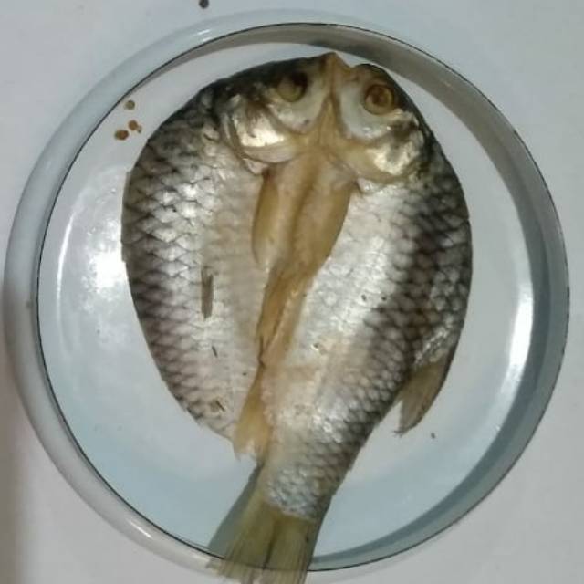 

Ikan asin tawes