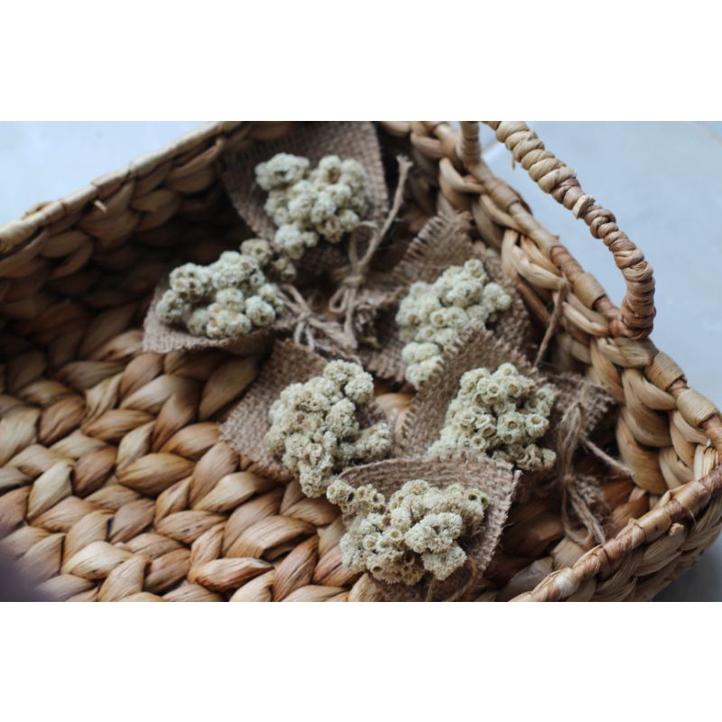 Mini Bouquet Bunga Kering Adel Putih